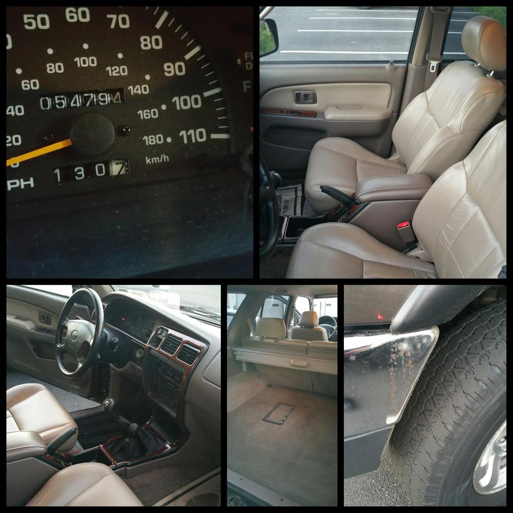 167408d1438477157-newbie-just-saying-hello-photogrid_1438476710612.jpg