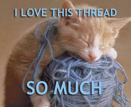 214982d1470874584-cobs-4runner-timeline-pic-heavy-cat-i-love-thread-so-much-2.jpg