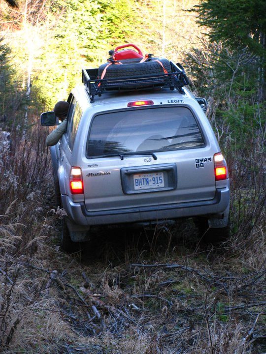 35561d1289827091-little-sunday-trek-through-woods-t4r3.jpg