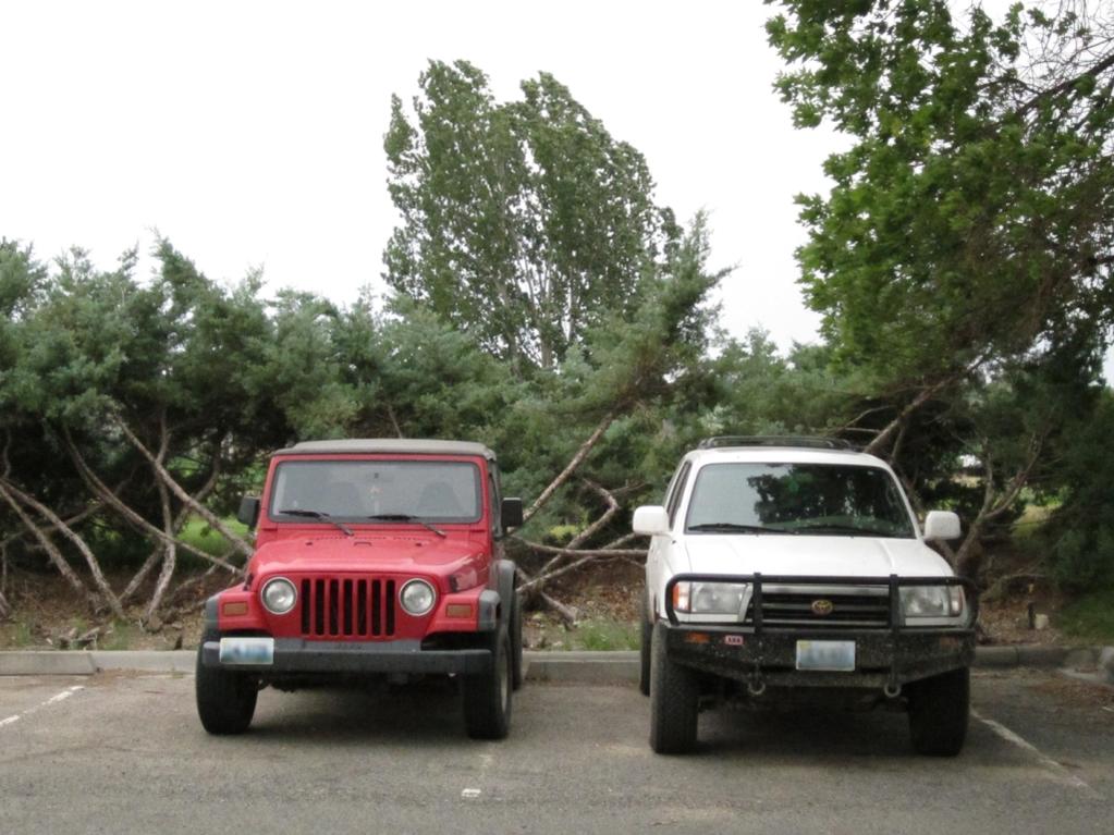 Jeep versus toyota #3