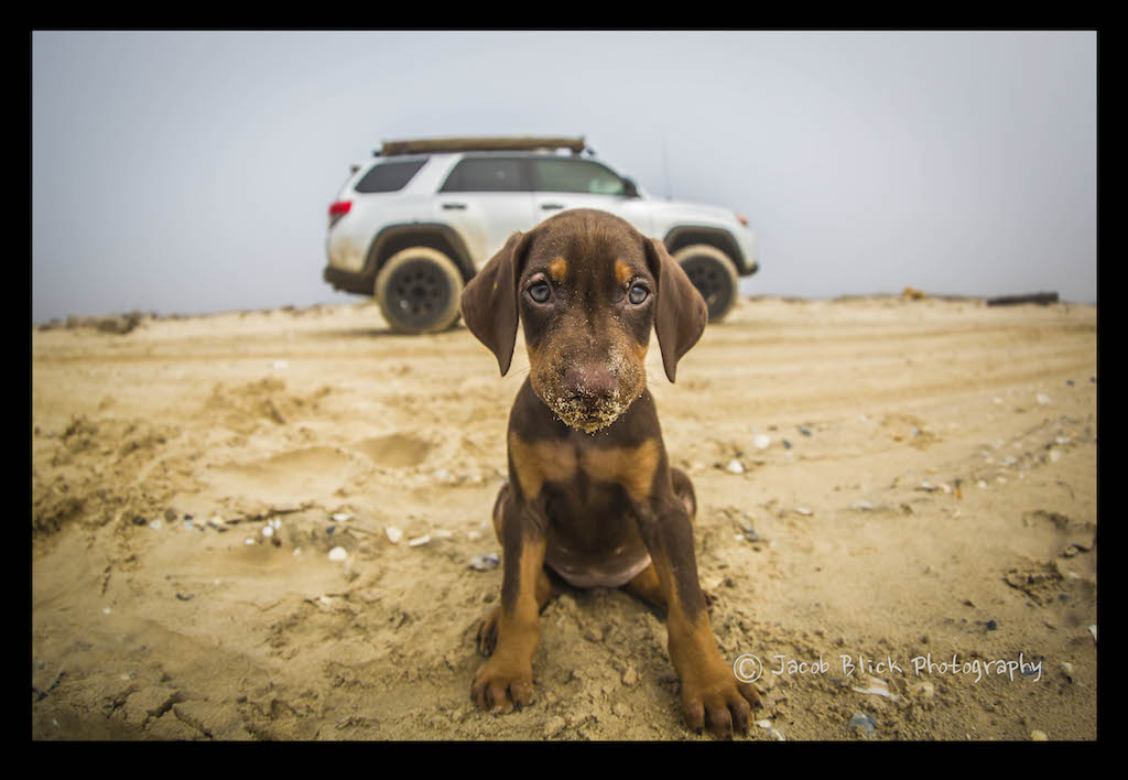 111391d1393216090-j-blickphoto-thread-carolina12.jpg