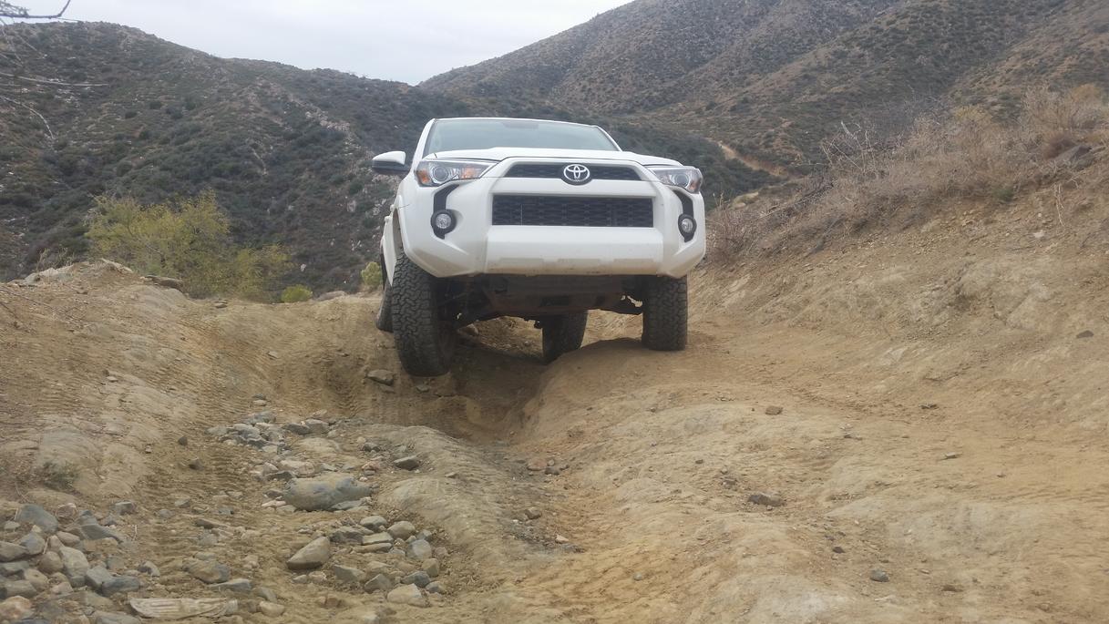 183983d1450579370-who-wants-go-wheeling-20151219_125344.jpg