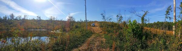 connormcw-albums-2010+limited-picture42907-went-exploring-abandoned-subdivision-development-found-pond.jpg