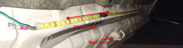 hockeyman-albums-out++control+led+habit-picture28537-3-5-strip-5w-per-foot-led-lighting-heat-resistant-glued-top-hood.jpg