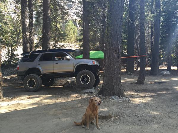kalikid-albums-t4r-picture35418-kato-dog-our-canyon-creek-campground.jpg