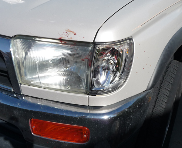 merlin12-albums-merlin-s+1997+toyota+4runner+sr5-picture24535-blood-light-spatter.jpg