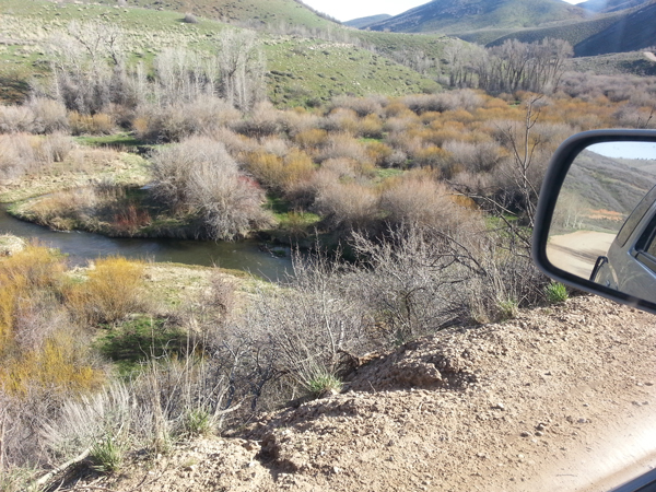 merlin12-albums-merlin-s+1997+toyota+4runner+sr5-picture25502-driving.jpg