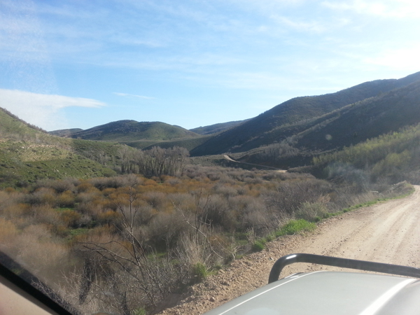 merlin12-albums-merlin-s+1997+toyota+4runner+sr5-picture25503-driving-nice-view.jpg