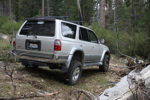 mizzle415-albums-98+ltd+runner+desert+dune-silver-picture4607-omes-flexin-little-go-around-downed-tree.jpg