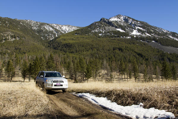 mtgirl-albums-mt-s+2012+runner-picture31129-mg-8768.jpg