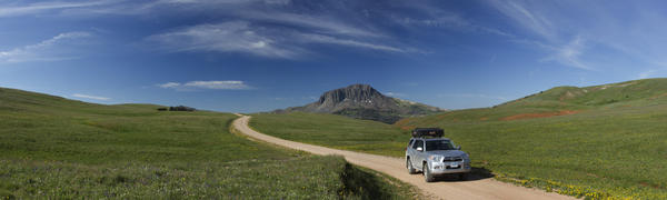 mtgirl-albums-mt-s+2012+runner-picture34013-blackbutterunner.jpg
