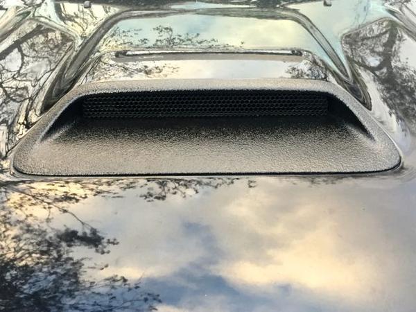 papabeach-albums-misc-picture29876-hood-scoop.jpg