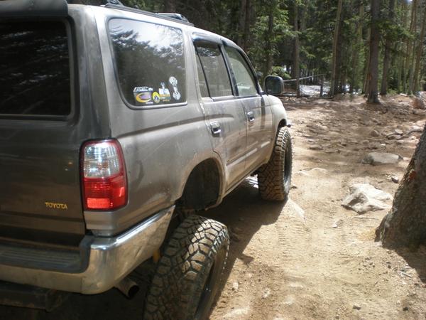 t4rfool-albums-project-picture3310-flex-shot.jpg