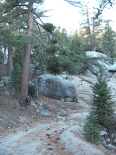 will733-albums-will733%27s+album-picture742-idyllwild-2.jpg