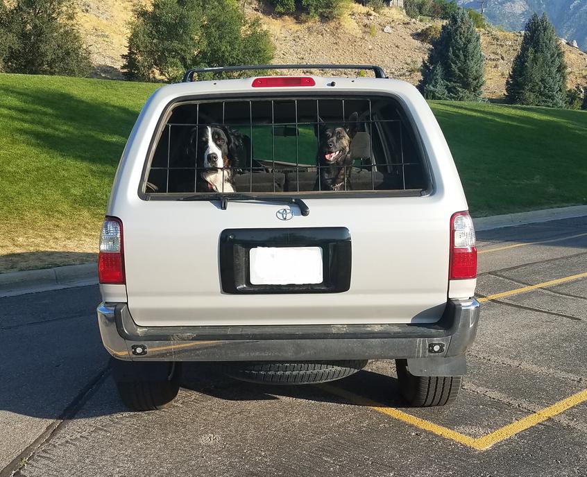 My Daily Driven Turbocharged '97 SR5 5 Speed 4Runner-rear-dogs-jpg