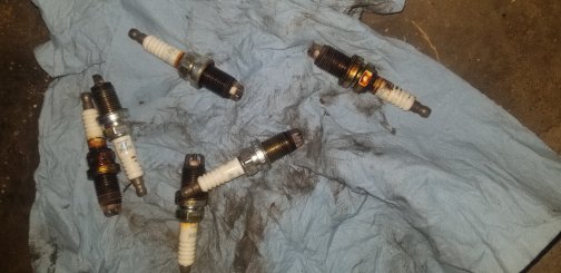 I F***d up. Ripped an ignition coil wire. Advice?-1549650001401-jpg