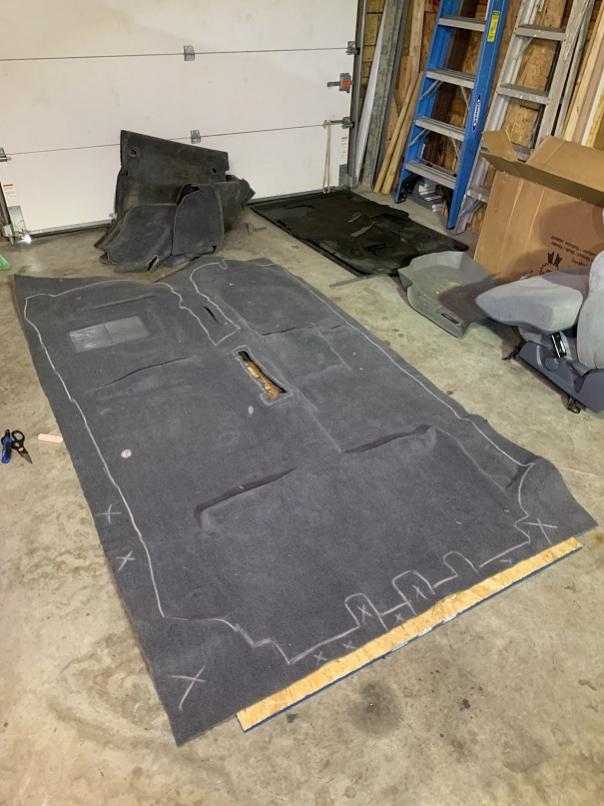 Best option for oak replacement carpet?-img-8488_small-jpg