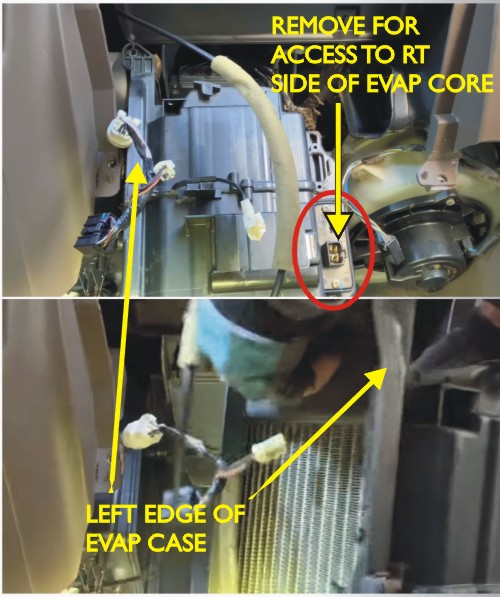 Cleaning evap core / mildew-evap-jpg