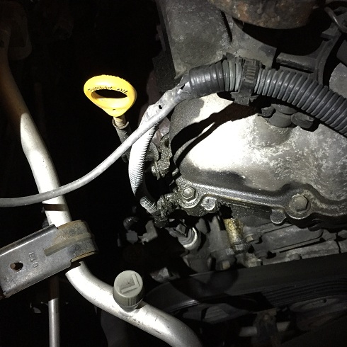 Upper Radiator Leak and Oil-top-jpg