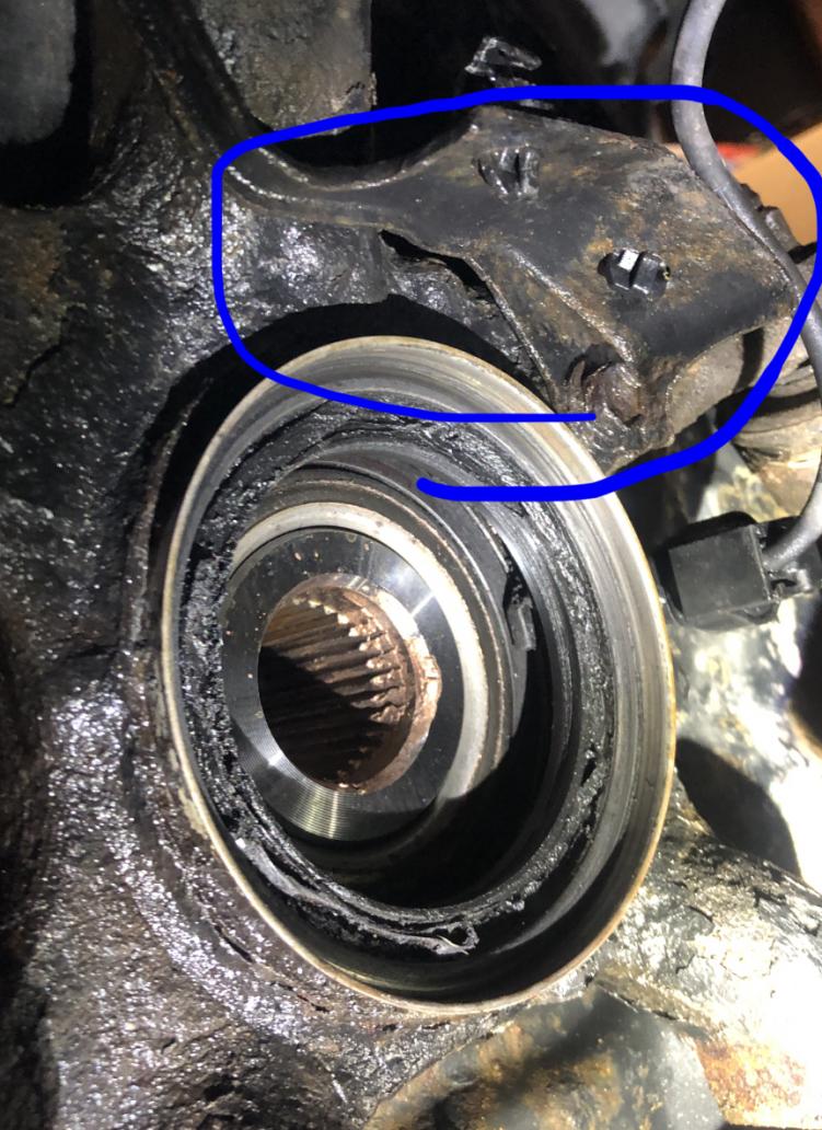 Unknown seal in wheel hub/knuckle; help plls-img_7581-jpg