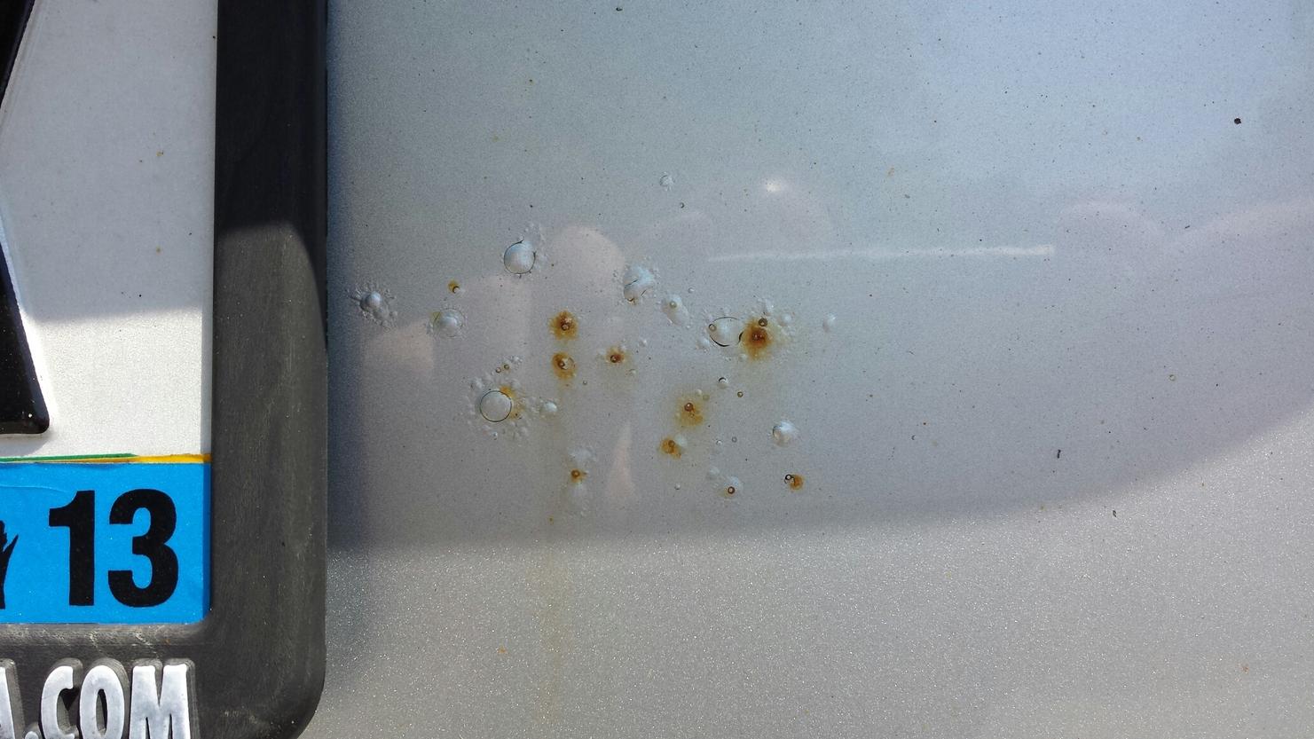 Rust bleeding through paint on rear hatch-rust-jpg