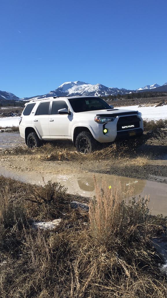 4Runners in scenic places-img_0112-jpg