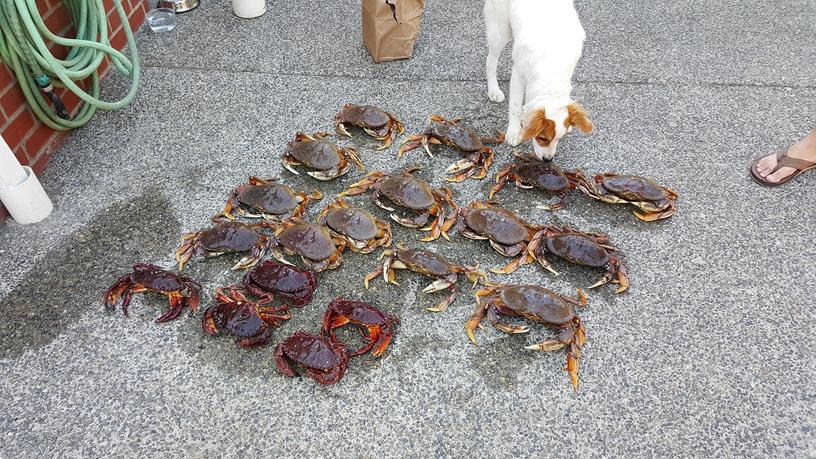 Seattle206's 2014 SR5 Thread-crabbing-jpg