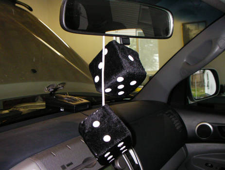 Must have (Cheap) accessories for your new 4runner!-fuzzy_dice-jpg