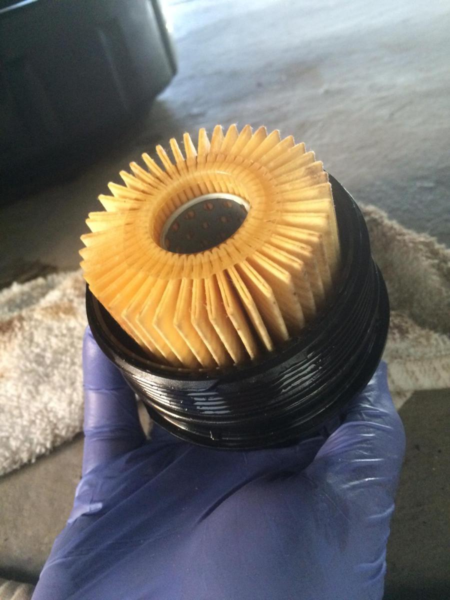 250774d1493843297-weird-question-what-should-barely-used-oil-filter-look-like-oilchange3-jpg