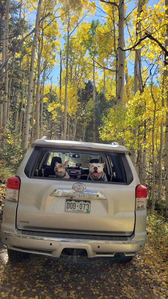 4Runners in scenic places-20190928_124409-jpg