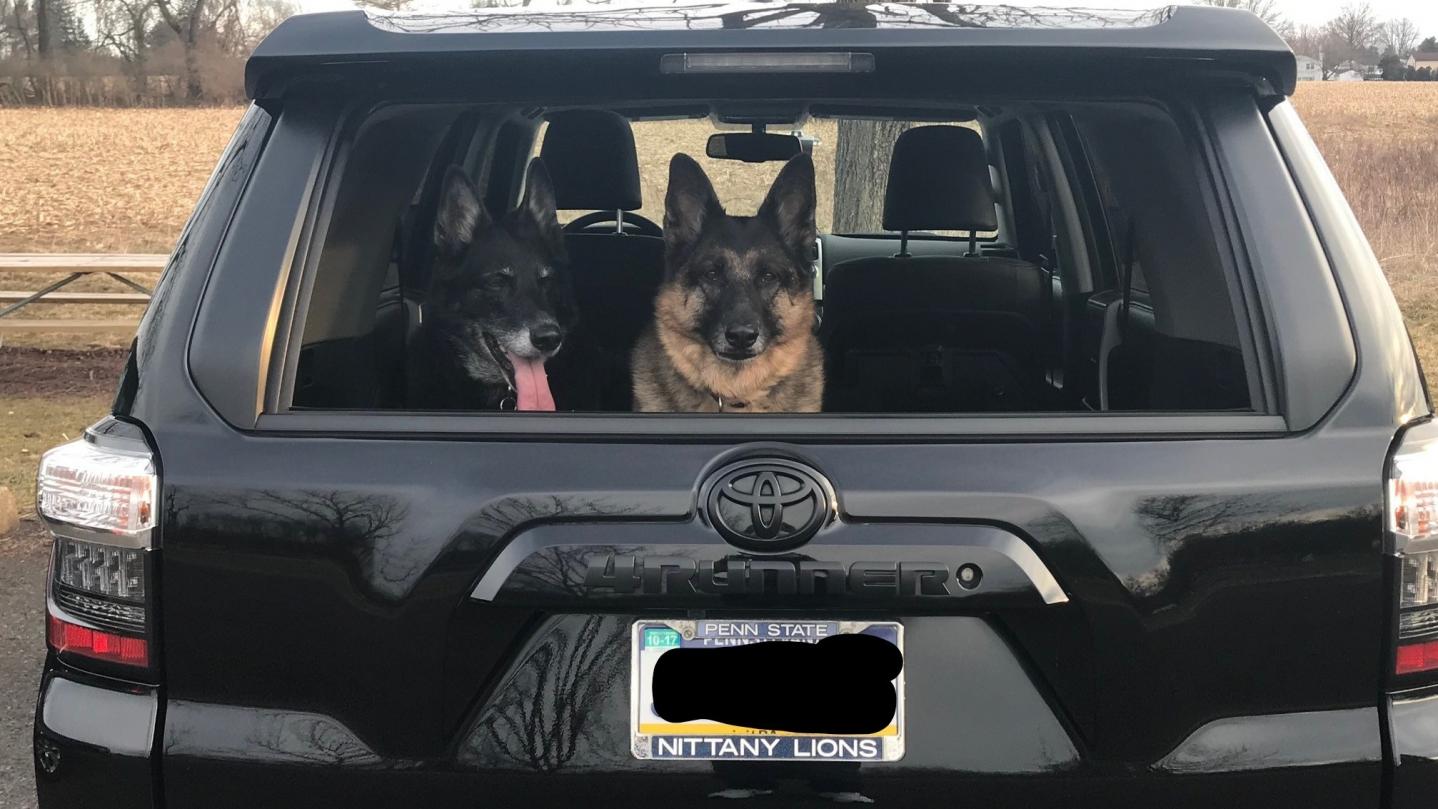 Dog Proofing my new 4Runner?-girls2-gif-jpg