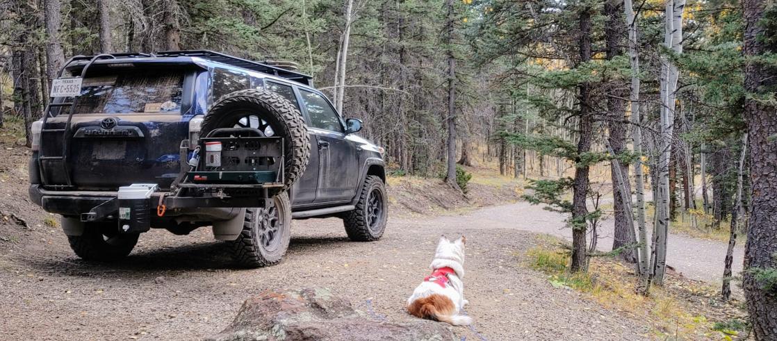 Convince me to buy a New 4Runner-20201005_182418_hdr~2-jpg