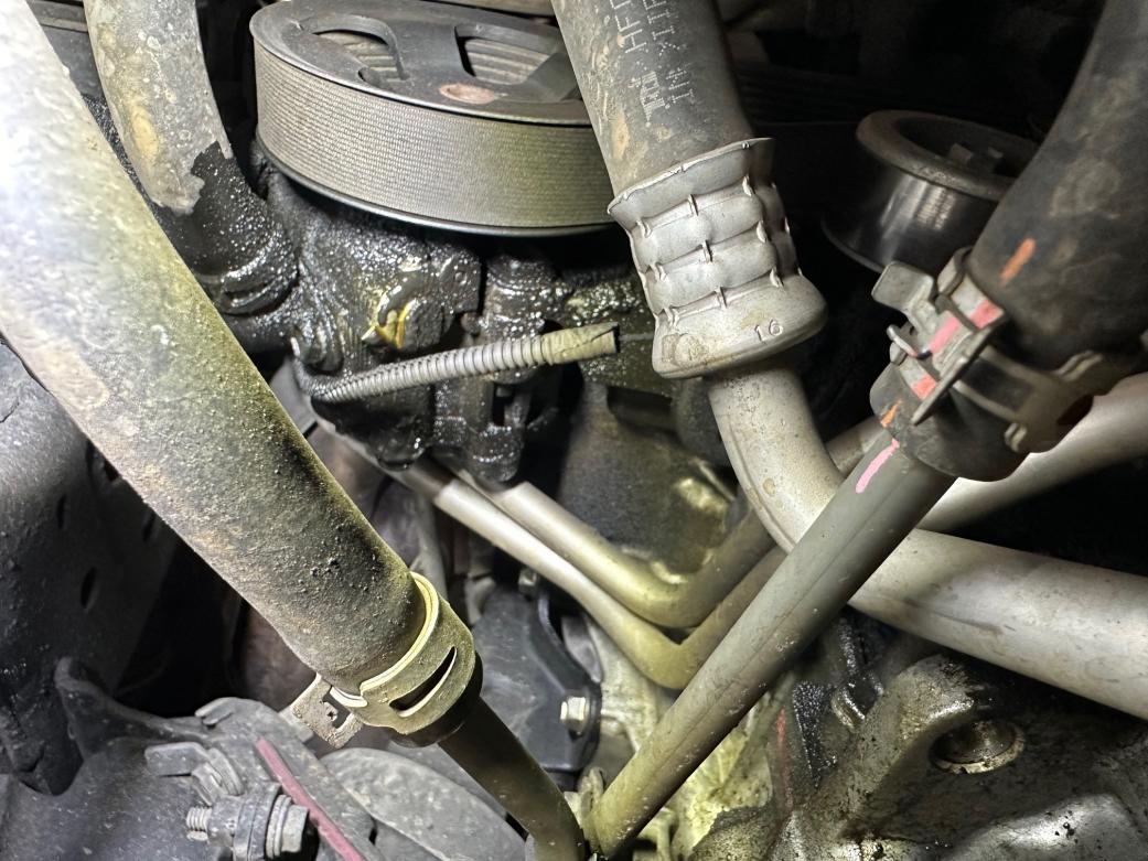 Power Steering Pump Leak Common?-img_4643-copy-jpg