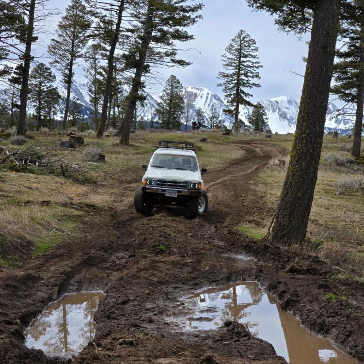 Show Off Your Classic in  Nature!-mud-shot-jpg