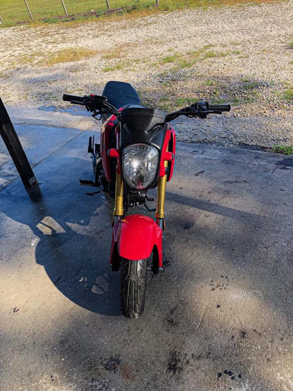 FS: 2015 Honda Grom - minor mods- central florida and south florida. 00 OBO-img_7979-jpg