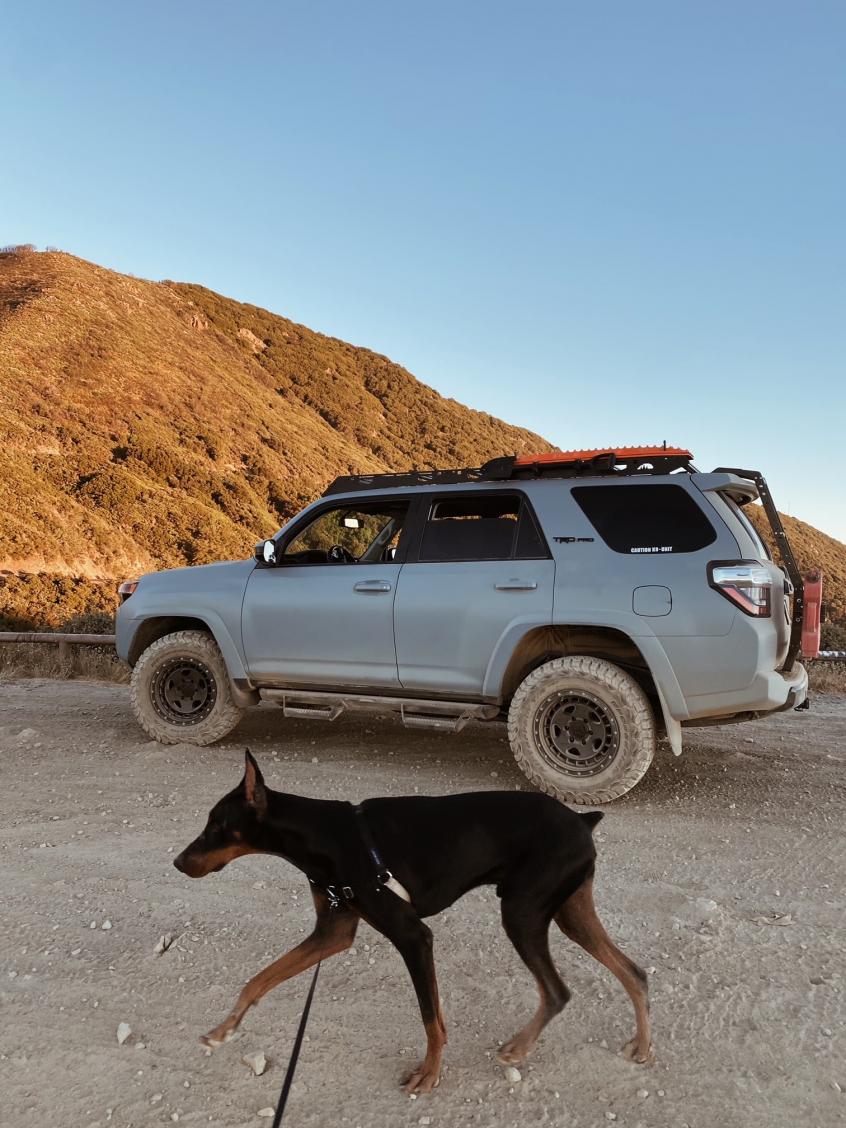 Show off your Dog, Ultimate 4Runner Dog thread-duke2-jpg