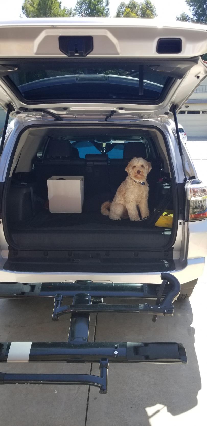 Show off your Dog, Ultimate 4Runner Dog thread-20190819_105043-jpg