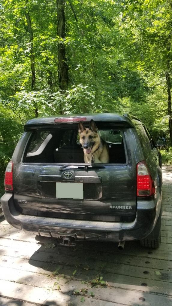 Show off your Dog, Ultimate 4Runner Dog thread-20210705_144514-no-plate-jpg
