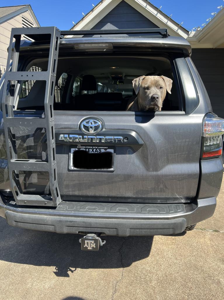 Show off your Dog, Ultimate 4Runner Dog thread-a761d215-5dcb-4a62-8d5a-a68f976d4410-jpg