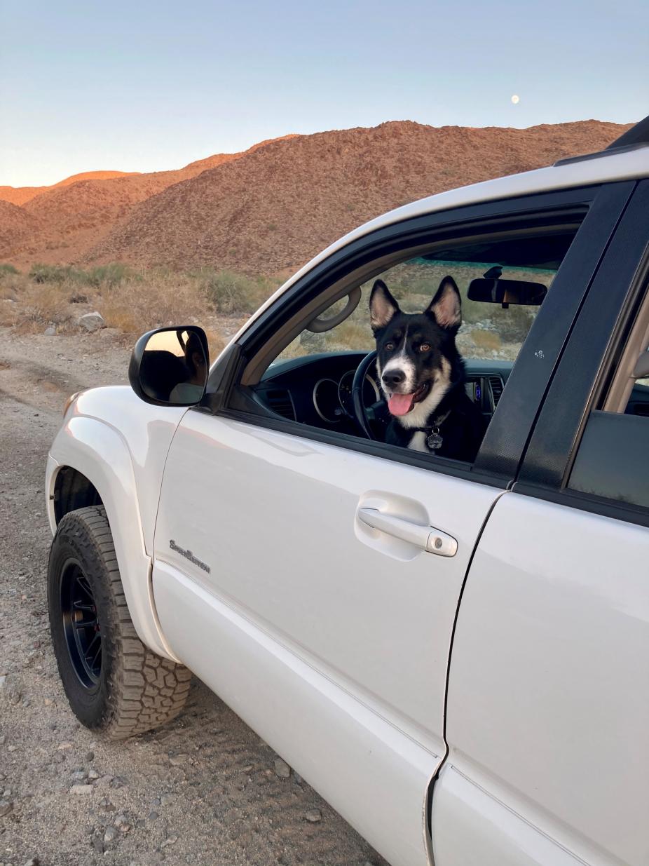 Show off your Dog, Ultimate 4Runner Dog thread-charlie-4runner-jpg