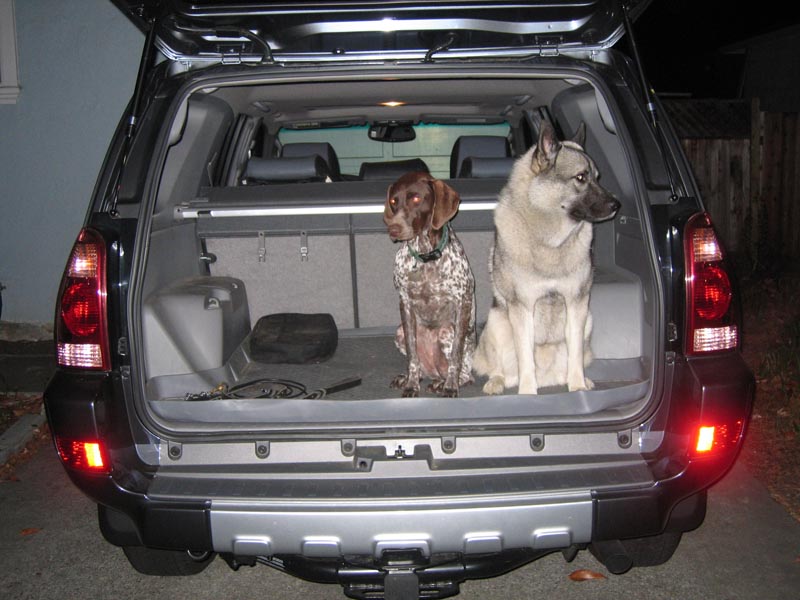 Show off your Dog, Ultimate 4Runner Dog thread-img_0770-jpg