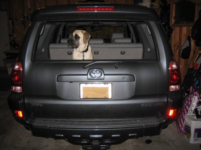 Show off your Dog, Ultimate 4Runner Dog thread-img_0810-jpg