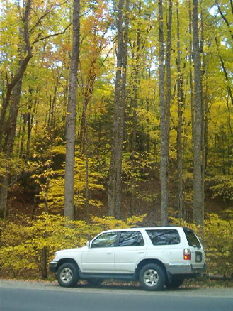 Fall @ Great Smokies-jpg