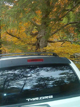 Fall @ Great Smokies-e-jpg
