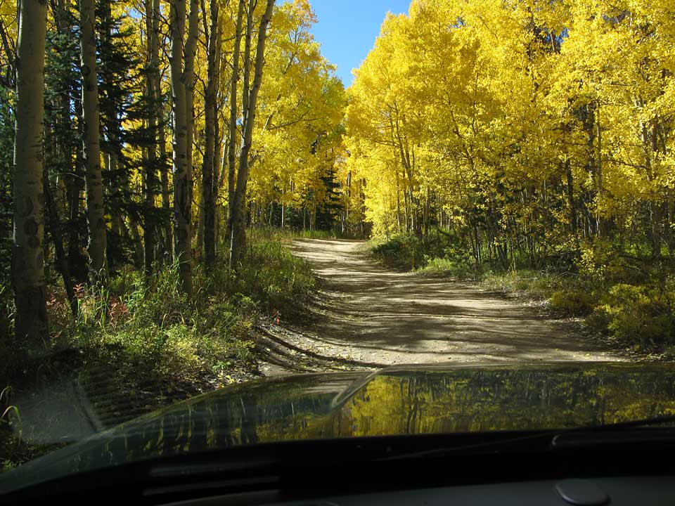 Northern Colorado 4x4 Trails-aspen-jpg