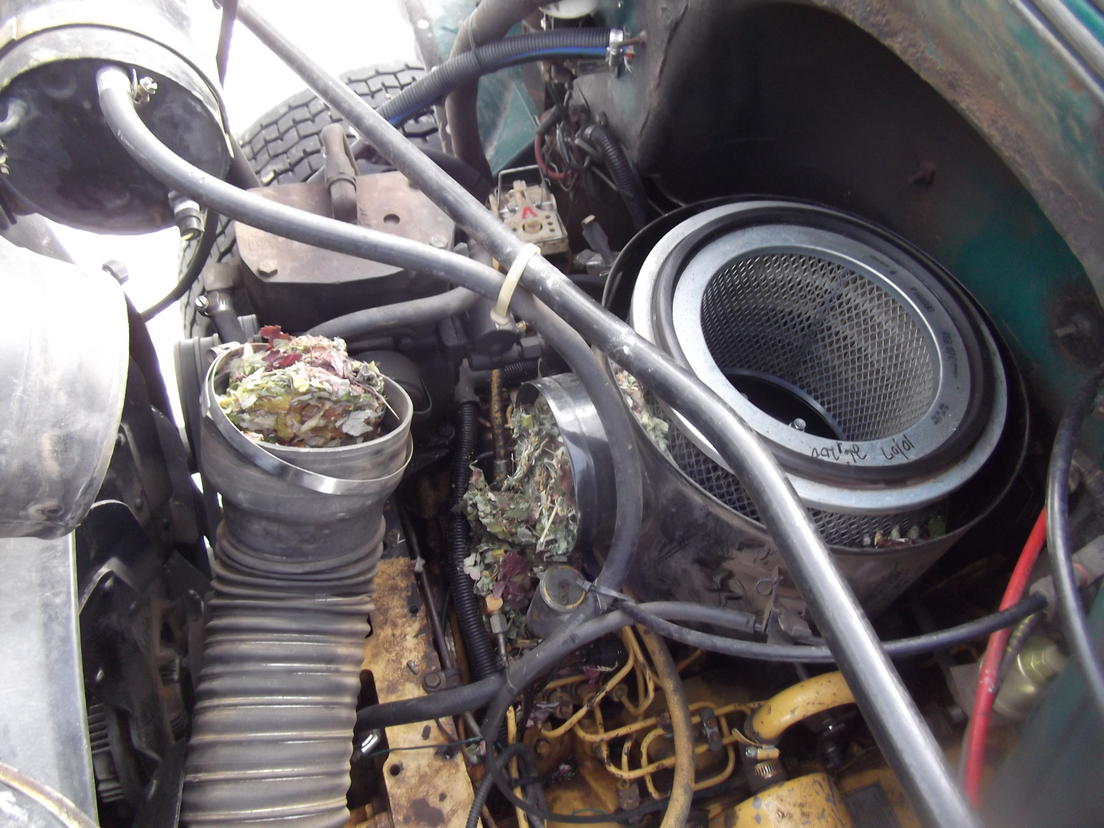 Rodent in the engine-dscf0260-jpg