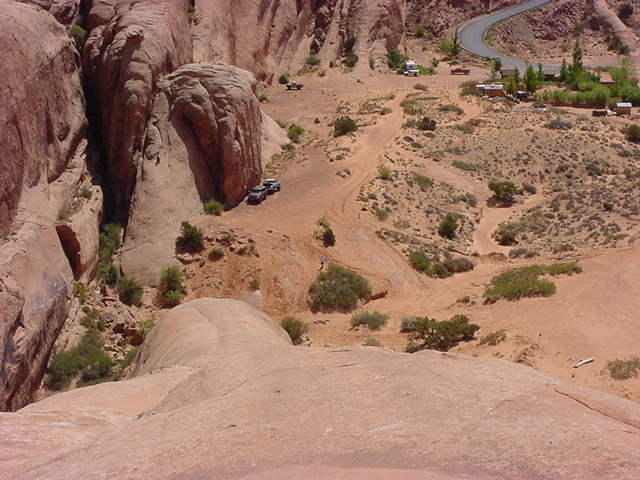 Got Moab?-looking_down_lions_back_tail-jpg