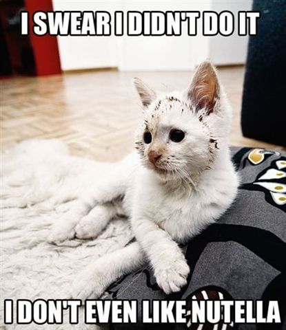 Random picture post thread-i-swear-jpg