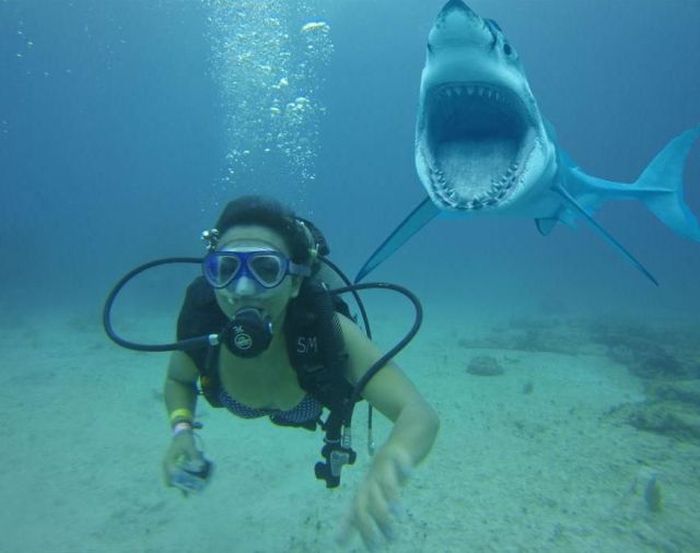 Random picture post thread-3-jpg