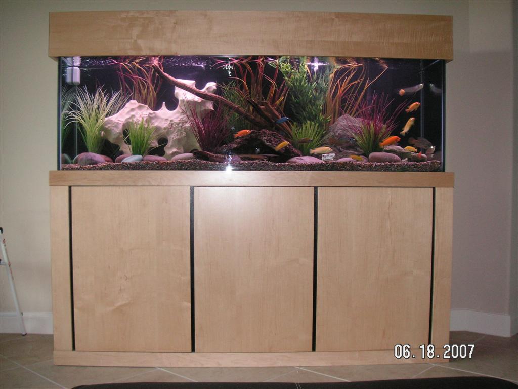 Home Aquarium Gallery-pict0002-large-jpg
